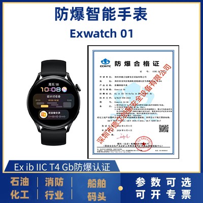 防（fáng）爆（bào）智能（néng）手表Exwatch 01