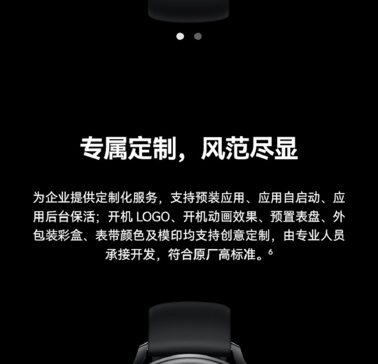 礦（kuàng）用本安型手（shǒu）表