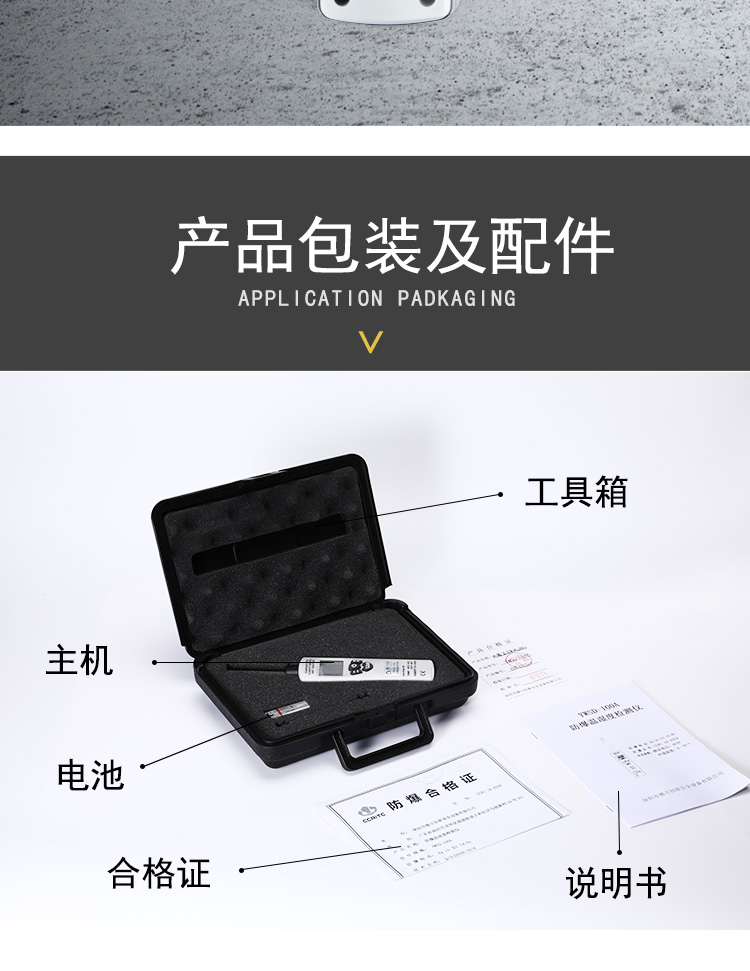 YWSD-100A防爆溫濕度檢測儀