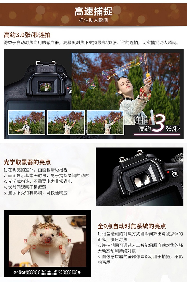 防爆（bào）相機詳情6